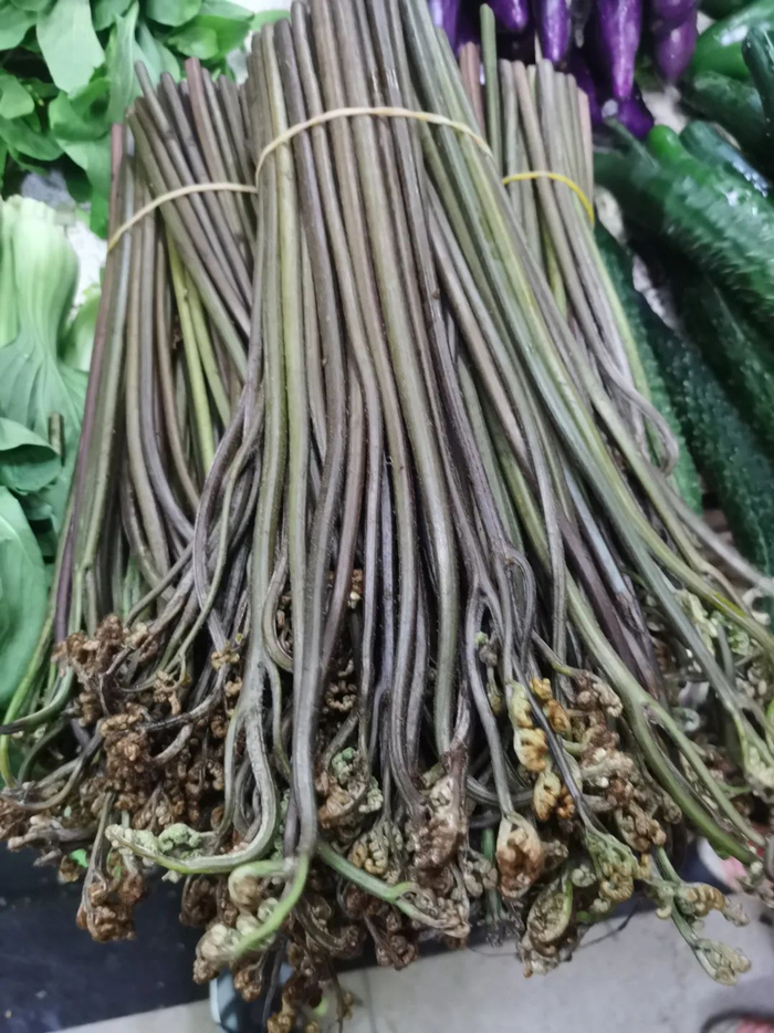 尤溪|野菜|蕨菜_新浪新闻