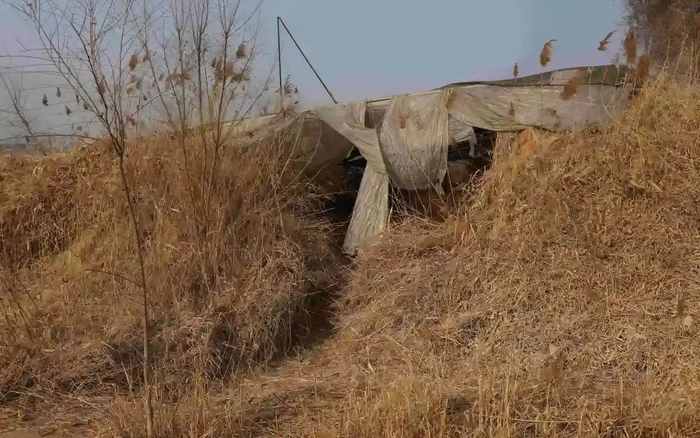 ▲曾埋着被害人遗体的废弃蔬菜大棚。新京报记者 李英强 摄