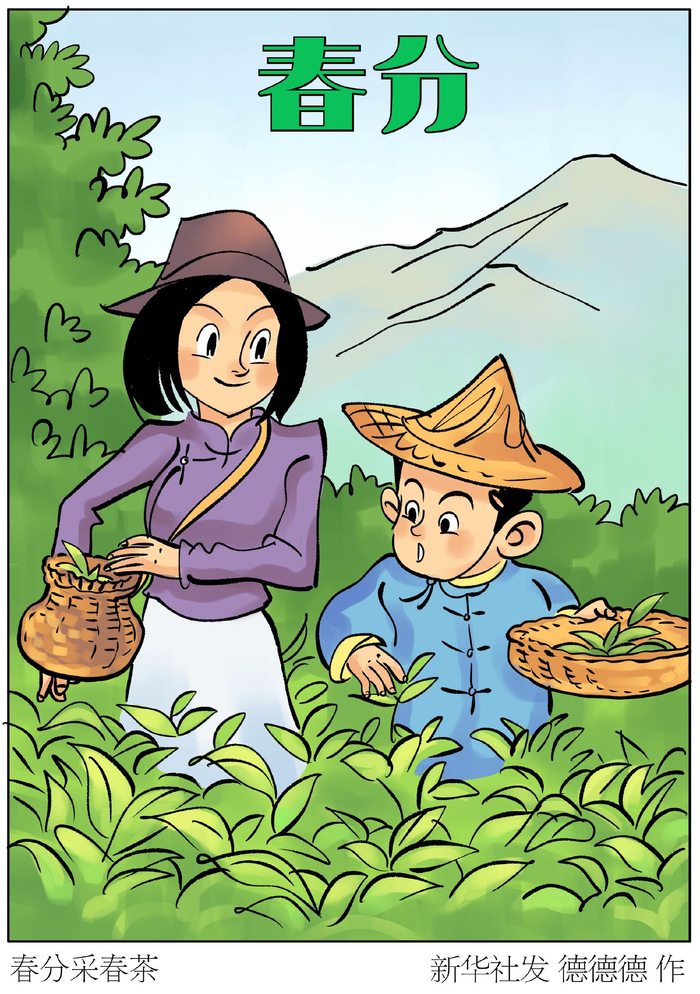 二十四节气·春分丨春分采春茶|二十四节气|春茶|节气_新浪新闻