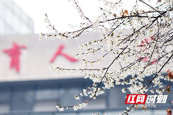 组图丨株洲校花来了颜值爆表