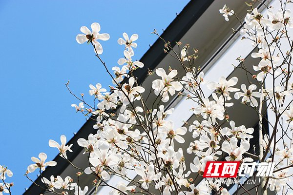 组图丨株洲校花来了颜值爆表