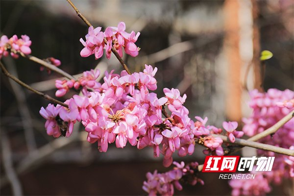 组图丨株洲校花来了颜值爆表