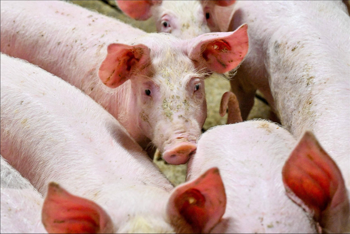 图片来源@视觉中国