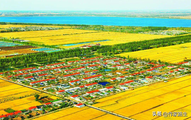 东北有条河形象很像一棵树政府曾想改名给它但群众死活不答应