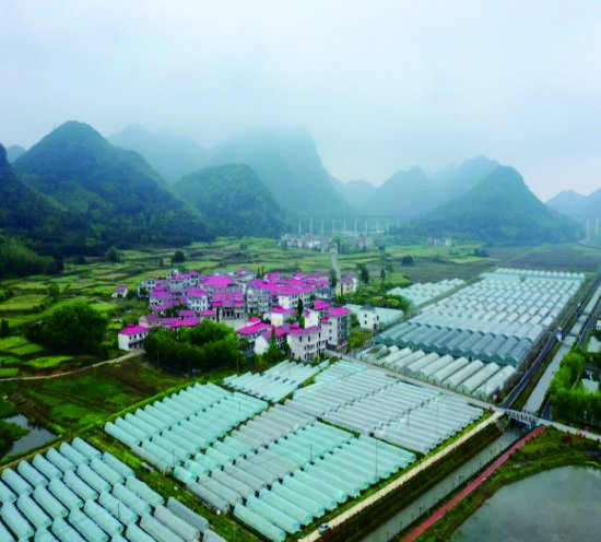 江西分宜:特色兴村产业绘就乡村振兴好"丰"景|分宜|乡村|分宜县_新浪