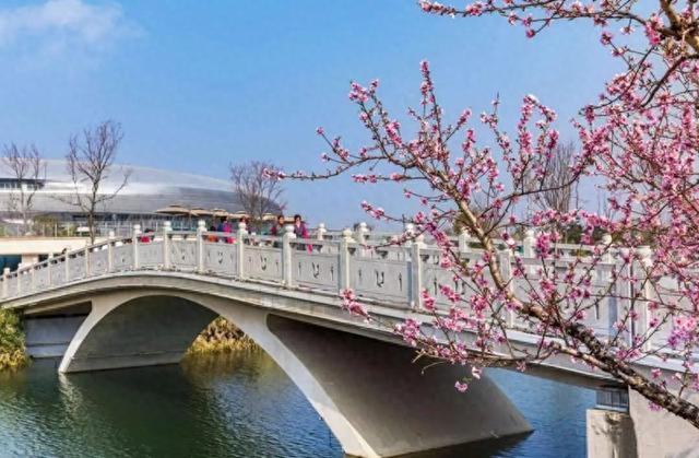 成都市龙泉驿区这样用好桃花牌|龙泉驿|桃花|龙泉_新浪新闻