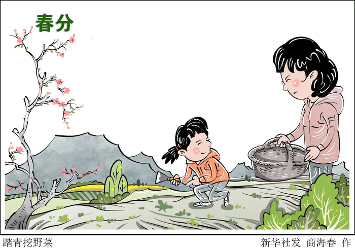 二十四节气春分丨踏青挖野菜