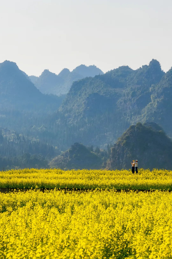来贵州上春山共赴一场春天的约会