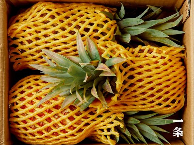 又香又甜又多汁!海南金钻凤梨,削了皮直接吃,不用泡盐水|凤梨|海南|金