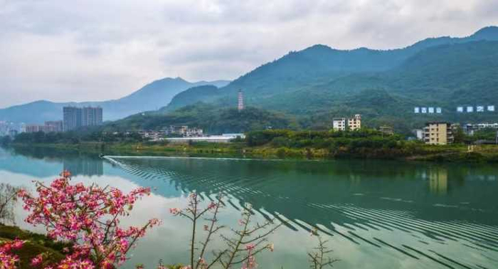 广东阳山:满屏的绿!太养眼了!|广东省_新浪新闻