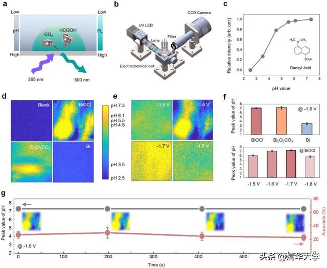 图2.原位荧光成像技术揭示催化剂表面局部pH变化