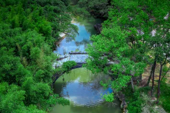 广东阳山:满屏的绿!太养眼了!|广东省_新浪新闻