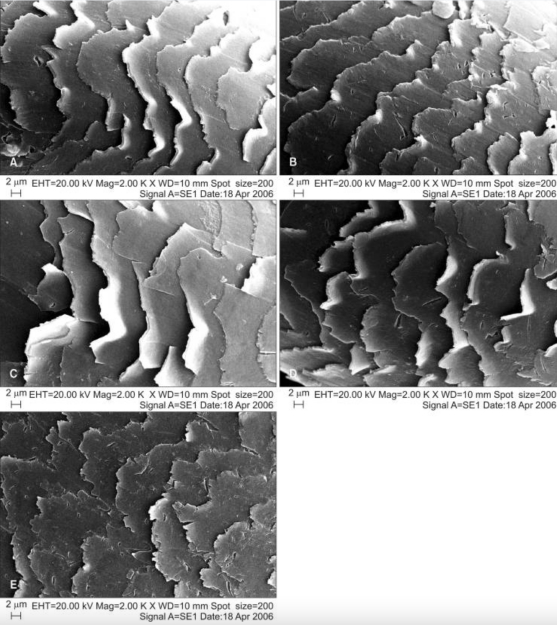 吹风机|风速|负离子_新浪新闻