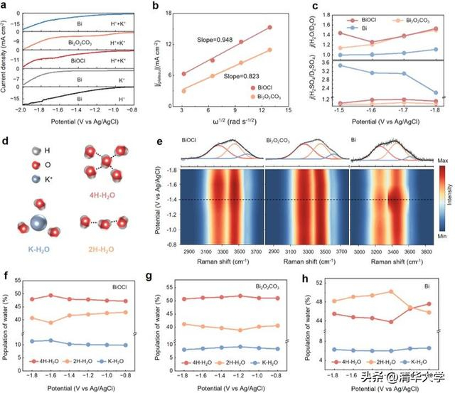 图3.局部微环境pH变化机制解析