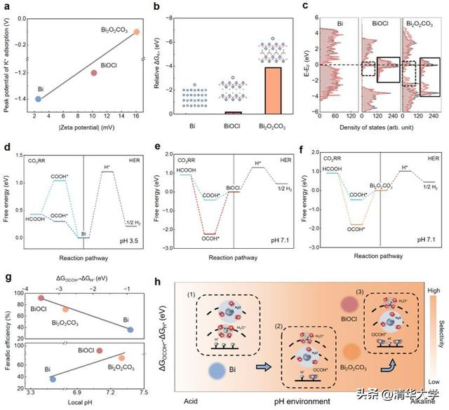 图4.催化剂表面性质对微环境影响机制解析