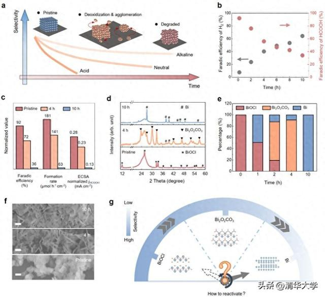 图1.酸性CO2RR中动态催化剂降解机制分析