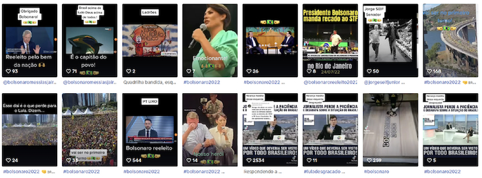 TikTok上博尔索纳罗的右翼阴谋论支持者的账号截图