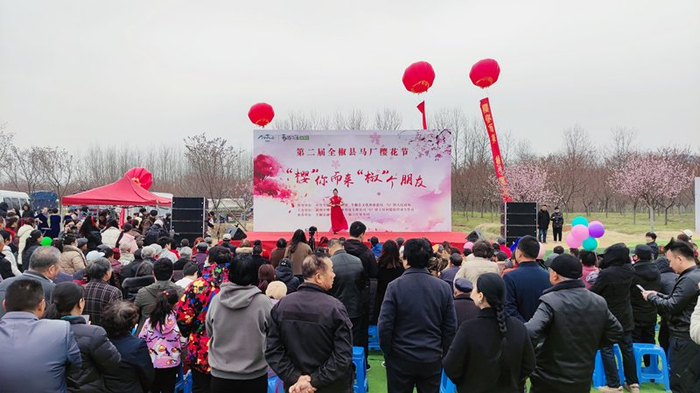 相约滁州市全椒县马厂镇,赴一场与樱花的约会吧!