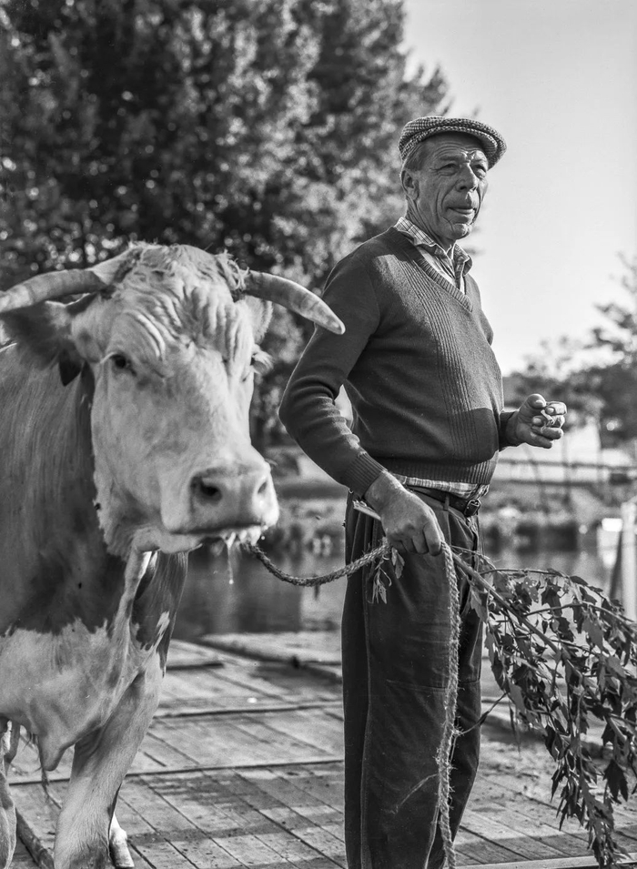 影像诠释渡船生活 | 萨莫迪·卓尔特·欧拉夫(匈牙利)|卓尔|摄影_新浪