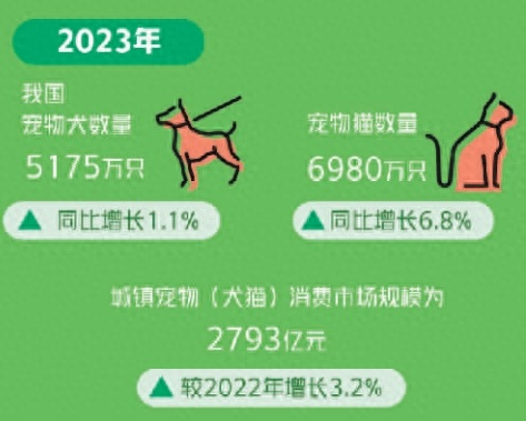 喵喵喵汪汪汪12亿只近3000亿元市场规模宠物消费市场调查