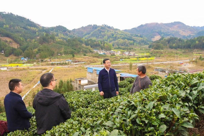 全国人大代表杨凯深入基层宣讲全国两会精神