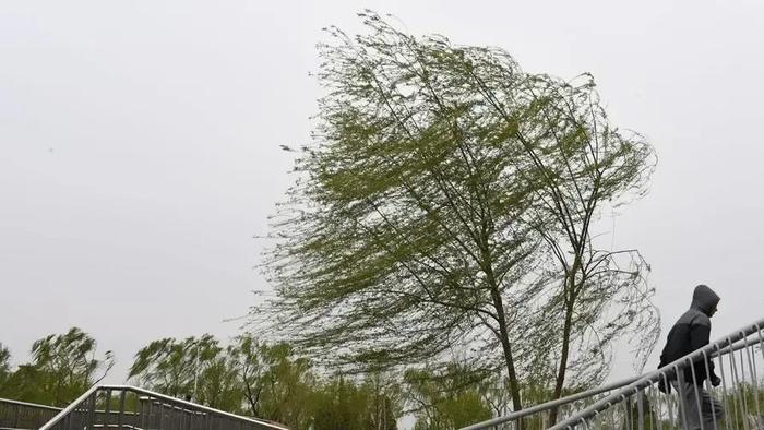 大风进城了!北京局地阵风10级以上,午后有沙尘