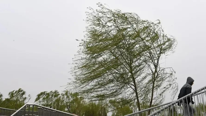 大风进城了!北京局地阵风10级以上,午后有沙尘|沙尘暴|沙尘|大风_新浪