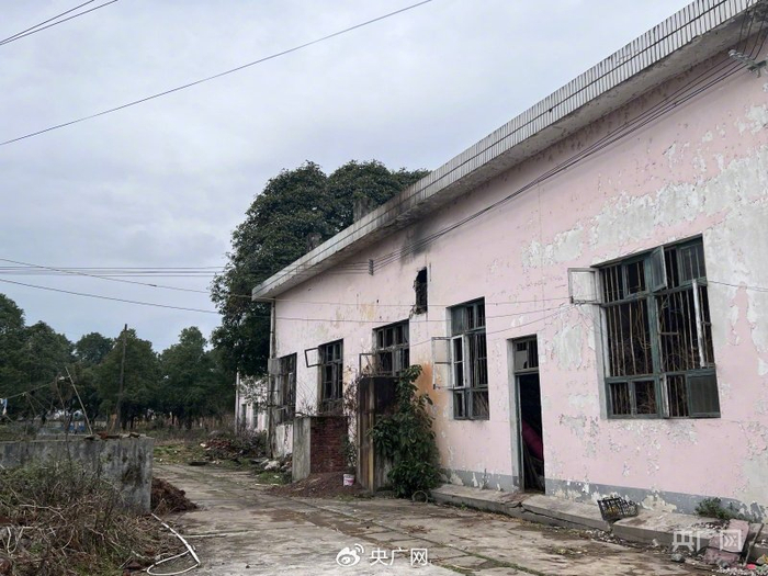 洞口县竹市镇竹篙塘社区棚户区改造项目所在地植物油厂的废弃办公楼。总台中国之声 管昕 摄