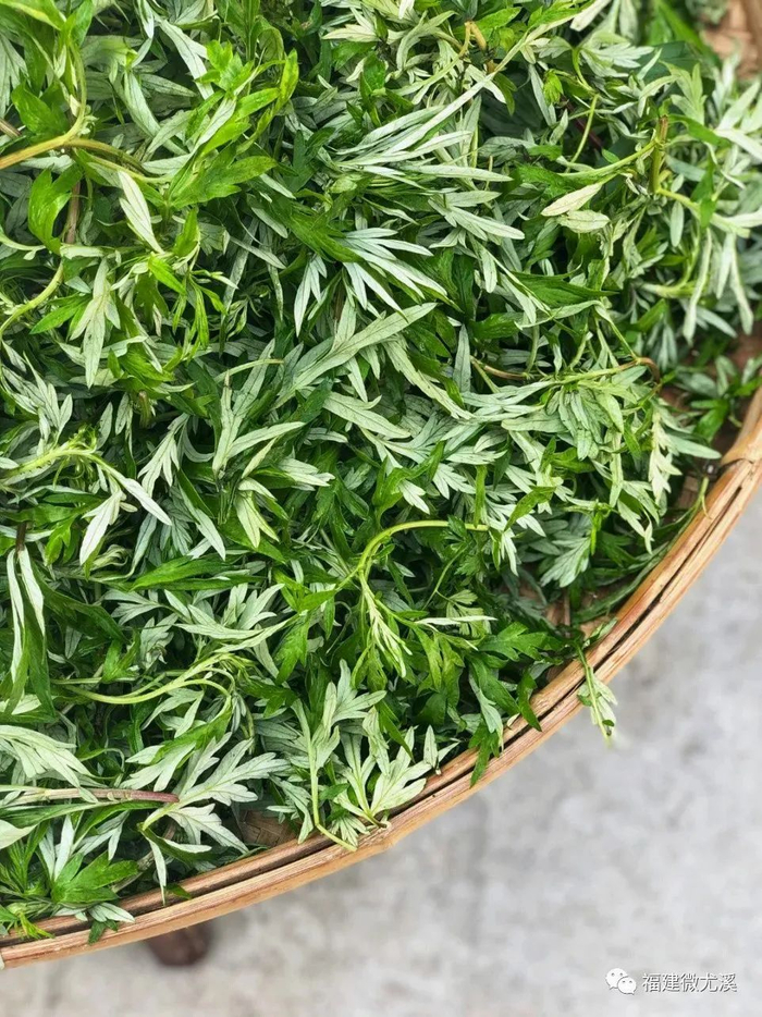 最近,尤溪人吃"草"有点"野"!|尤溪|野菜|蕨菜_新浪新闻