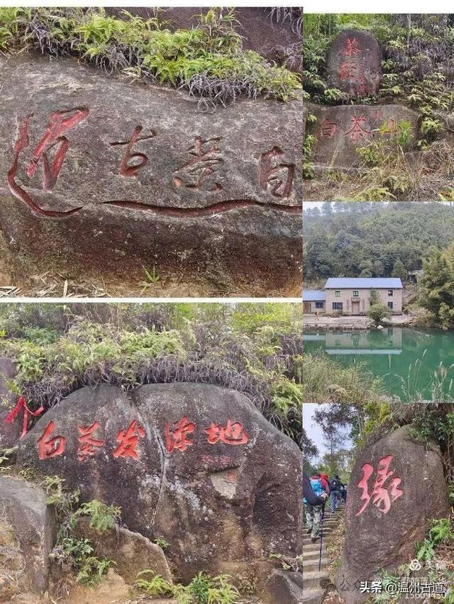 太姥山|龙潭湖|仙都_新浪新闻