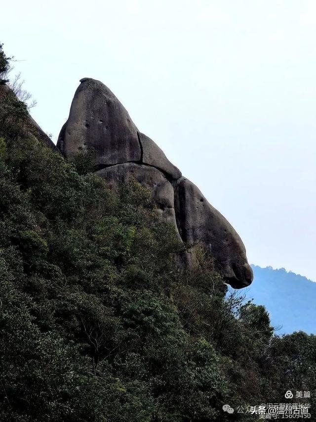 太姥山|龙潭湖|仙都_新浪新闻