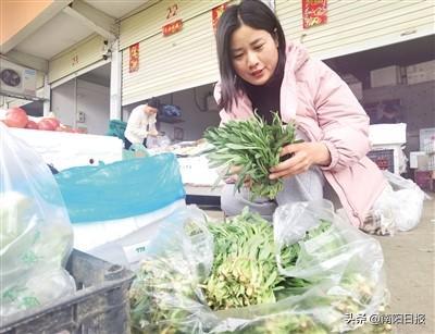 荠菜、香椿、面条菜……时令野菜抢“鲜”上市——南阳市民畅享“舌尖上的春天”