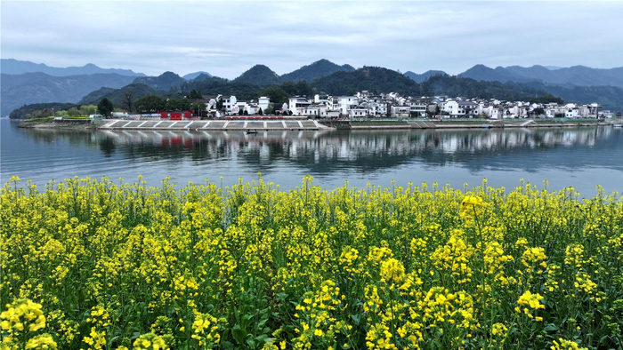 黄山邀您"来徽州 上春山"|音乐节|春山|黄山市_新浪新闻