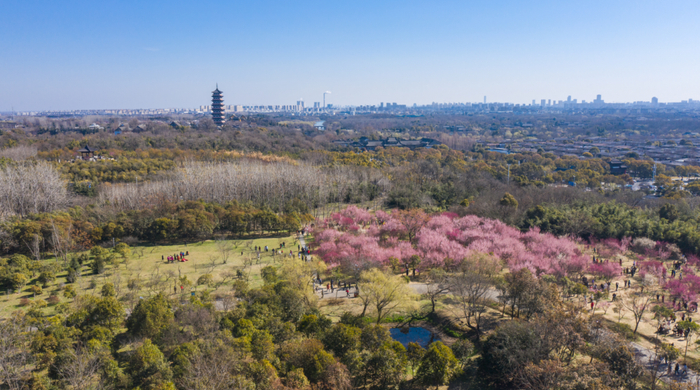 来鹤台广场润扬森林公园吴王夫差广场俗话说"春捂秋冻"近期昼夜温差大