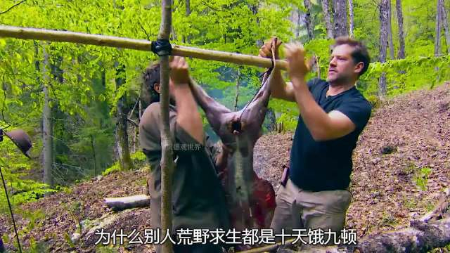 一口气看完厨子和猎人野外求生