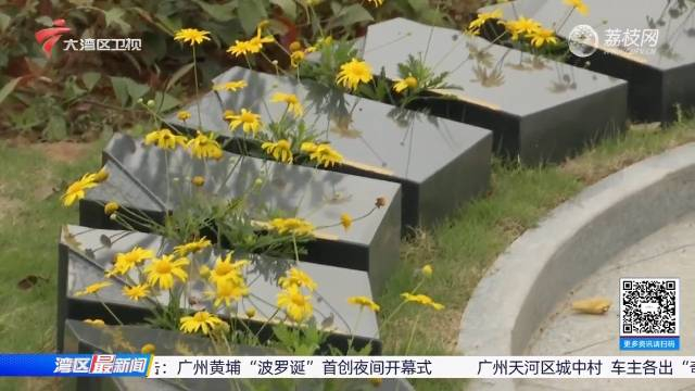 广州增城一墓园首推花坛葬 圆形花坛,不刻碑也可留名