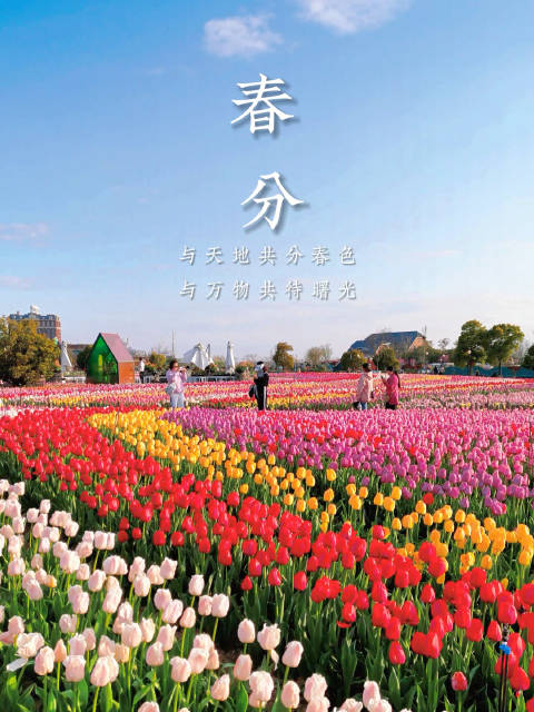 春光明媚春色渐浓杨柳青青草长莺飞接下来的可盼可期