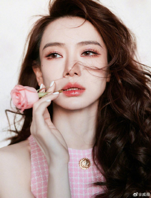 戚薇|玫瑰_新浪新闻