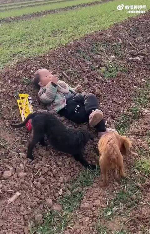 小朋友吃着一块干脆面沐浴着阳光翘着二郎腿满脸惬意