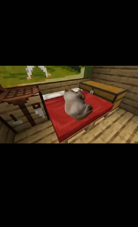 我的世界里的猫会做什么梦