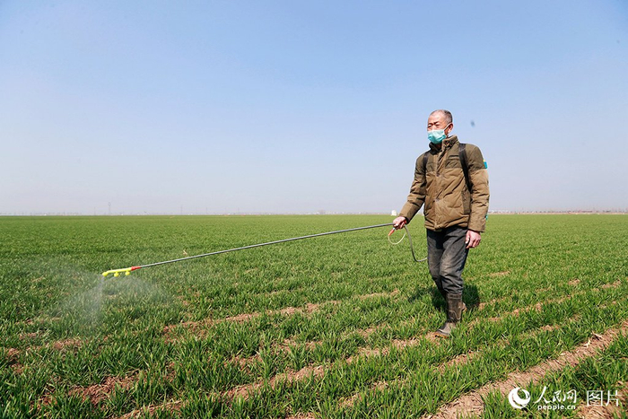 春日好耕种田间地头农事忙