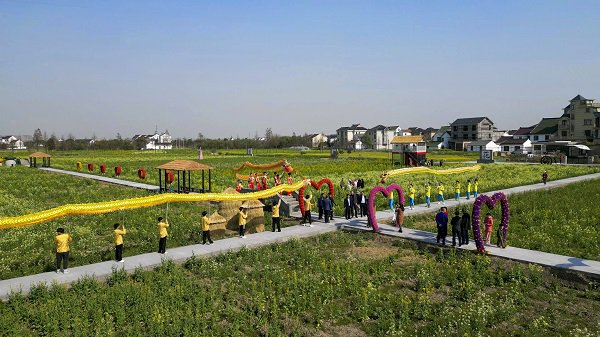 多彩的油菜花田里,一片片金黄色的花朵与一旁的风