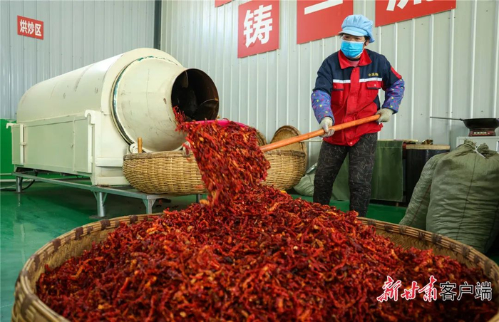 在甘谷县丰晟农业农民专业合作社的辣椒加工车间，工人正在处理烘炒后的辣椒。新甘肃·甘肃日报记者 冯乐凯