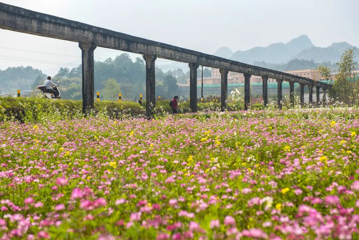 清远人的手机相册曝光,排第一的是......__财经头条