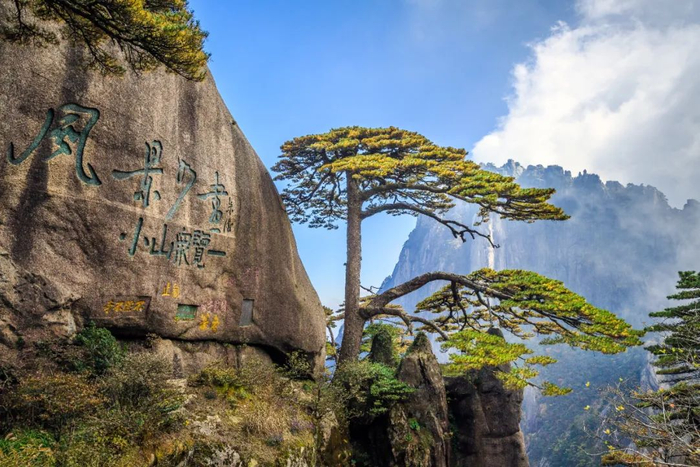 奇峰怪石,更显秀美日出云海,氤氲缭绕黄山风景区仙境黄山春游江淮,游
