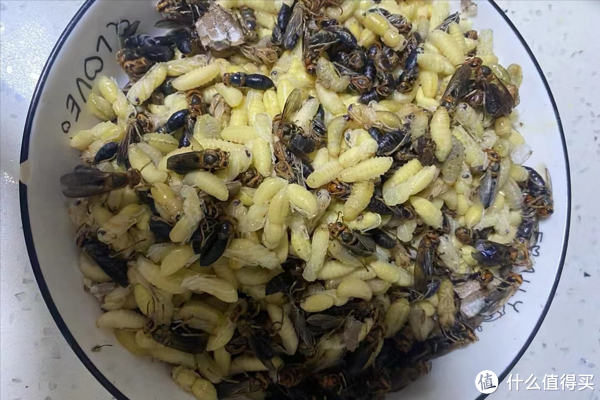蠕动呢,虽然没有葛根虫那么肉呼呼的恶心,但对于从小就怕虫子的我来说
