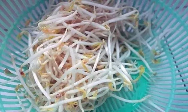 管起来!事关牛肉面里的豆芽|襄阳|豆芽|牛肉面_新浪新闻