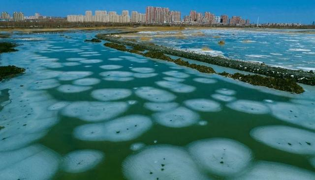 大庆春天里的一块宝石75龙凤湿地有个翡翠湖
