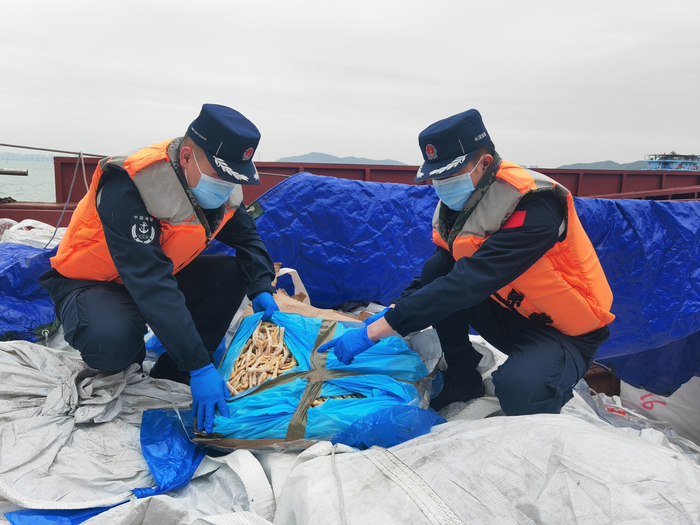 三年前生产的鸡爪还在卖?东莞海警缴获75吨走私冻品|食品安全|海警|冻