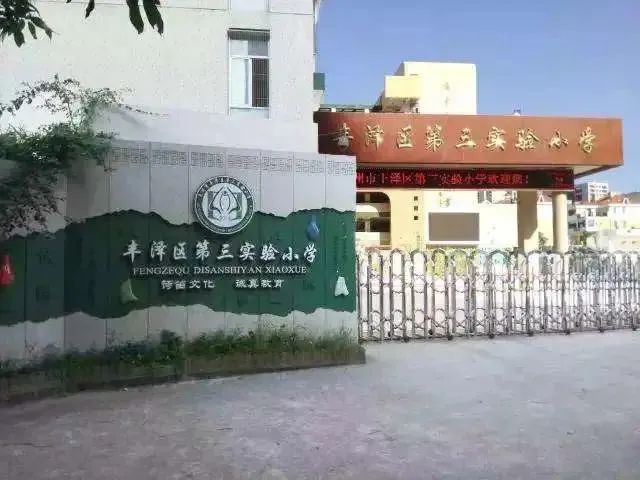 小学|教育厅|泉州市_新浪新闻